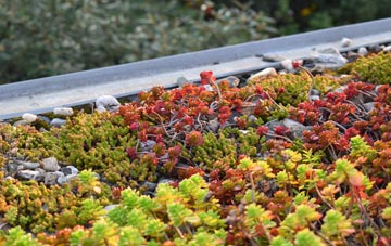 the cost of Corscombe green roof installation