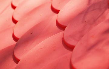 Corscombe plastic roof costs